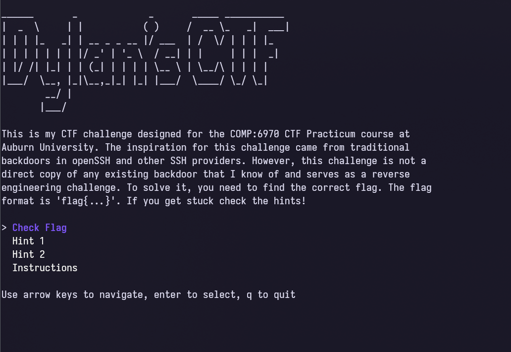 CTF Runner Binary